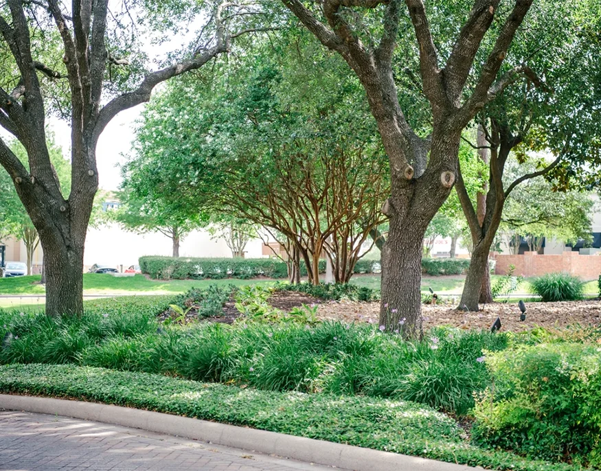 Houston commercial irrigation maintenance company