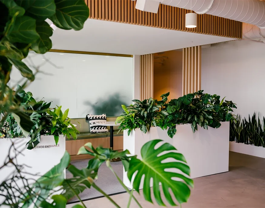 commercial tree removal service Houston