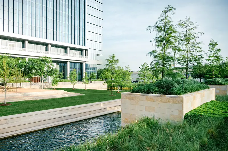 Houston commercial tree company