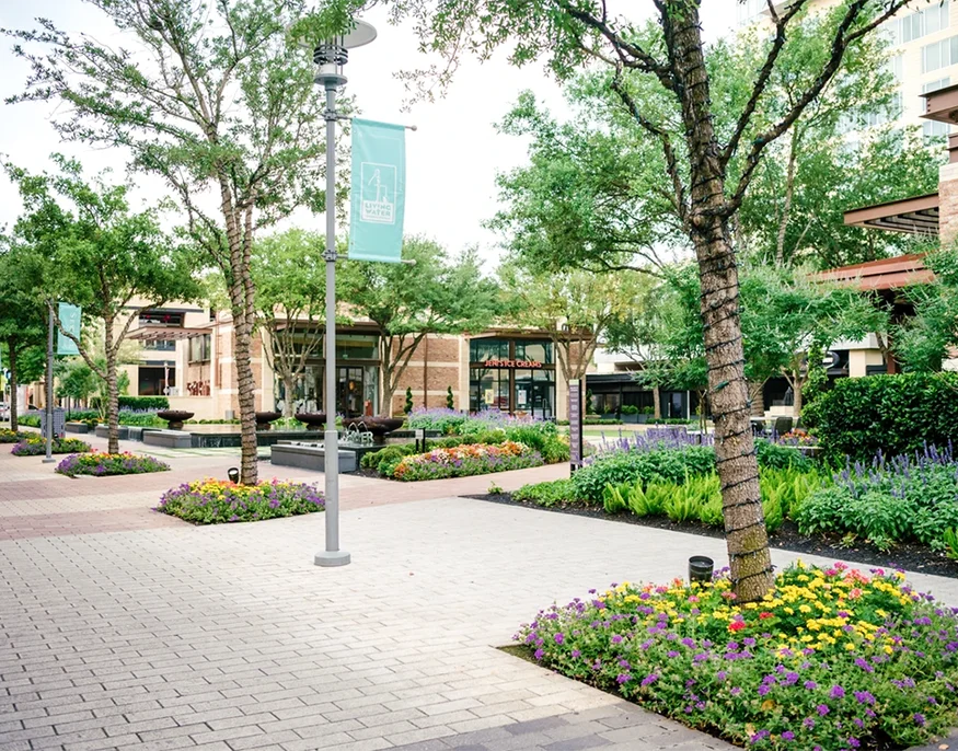 Houston commercial tree surgeons